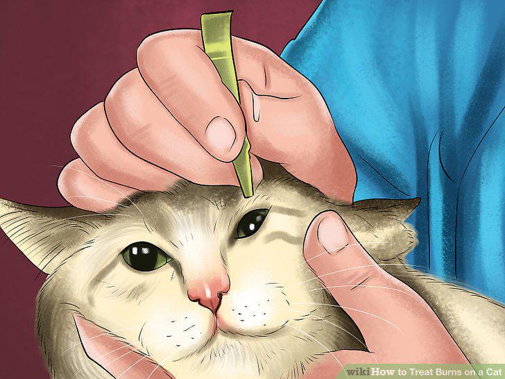 Step 9