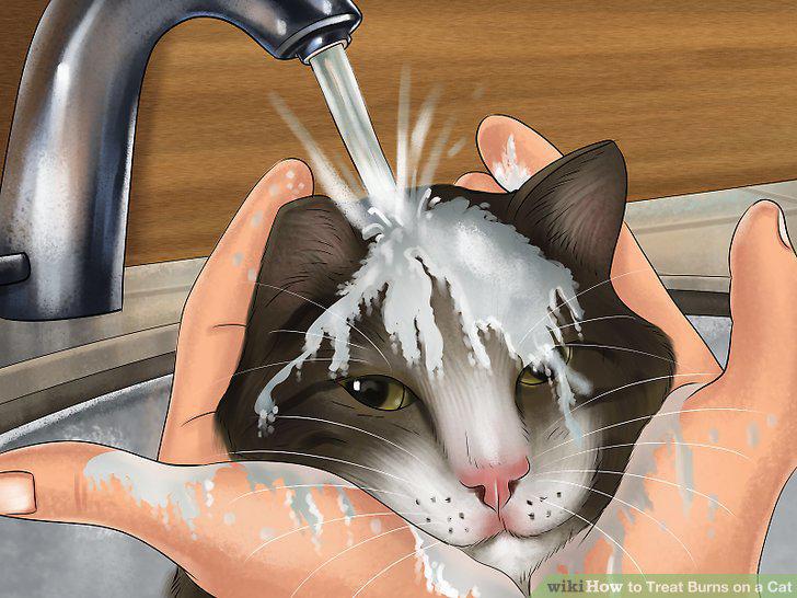Step 10