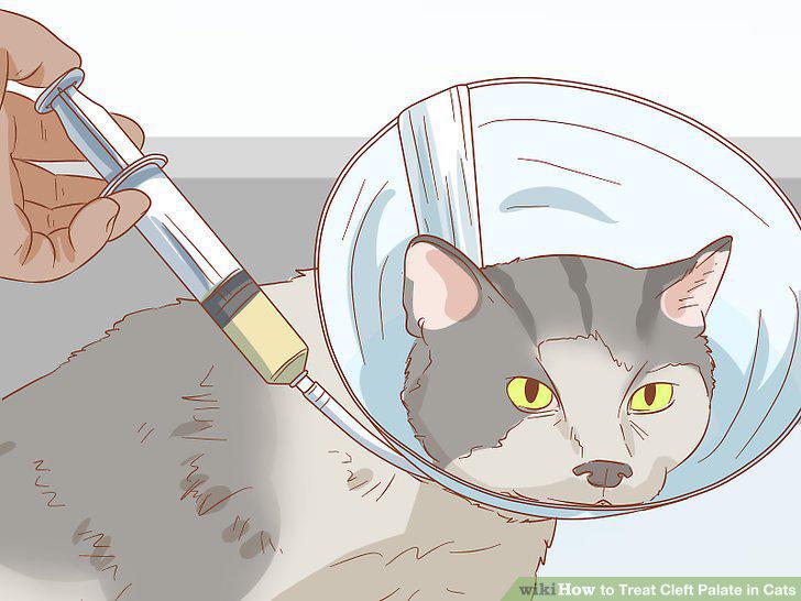 Step 13
