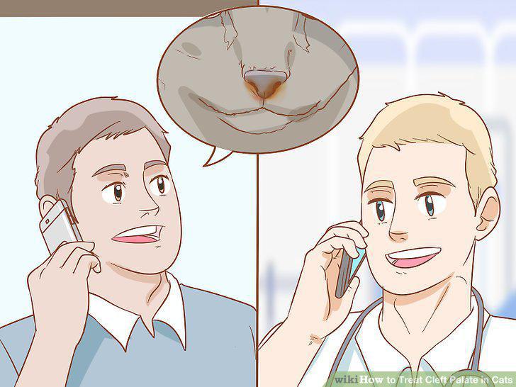 Step 14