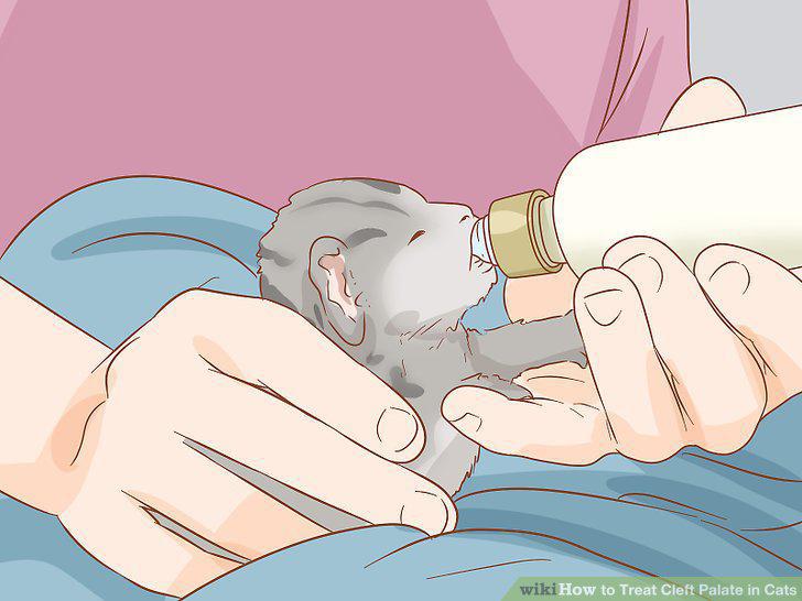 Step 7