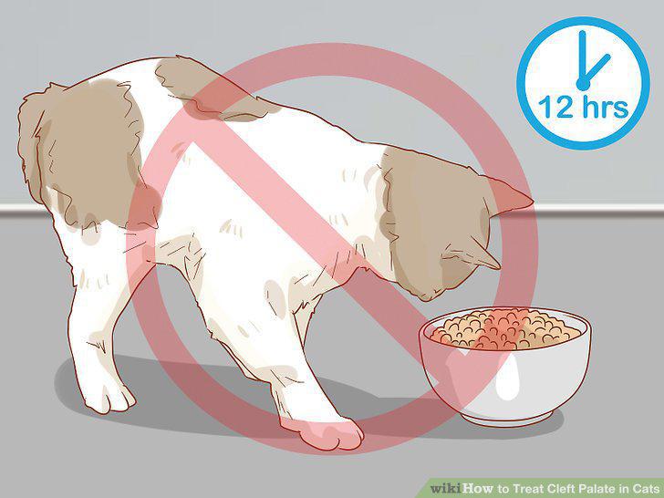Step 10