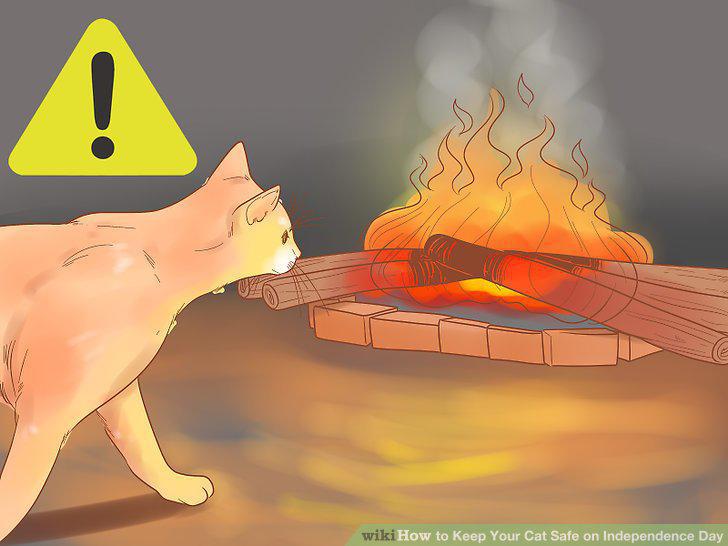Step 9