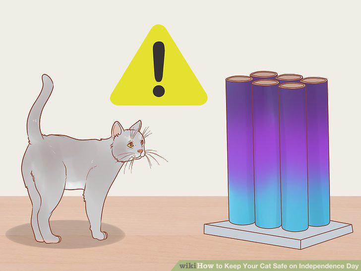 Step 10