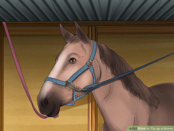 Step 11