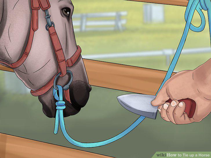Step 12