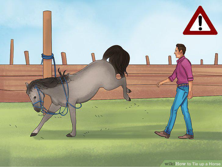 Step 13