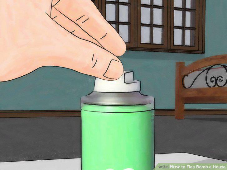 Step 15