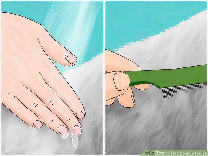 Step 17