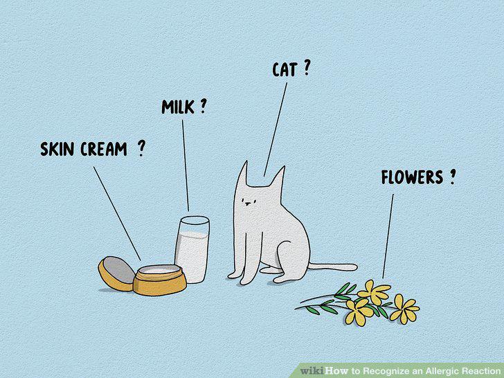 Step 14