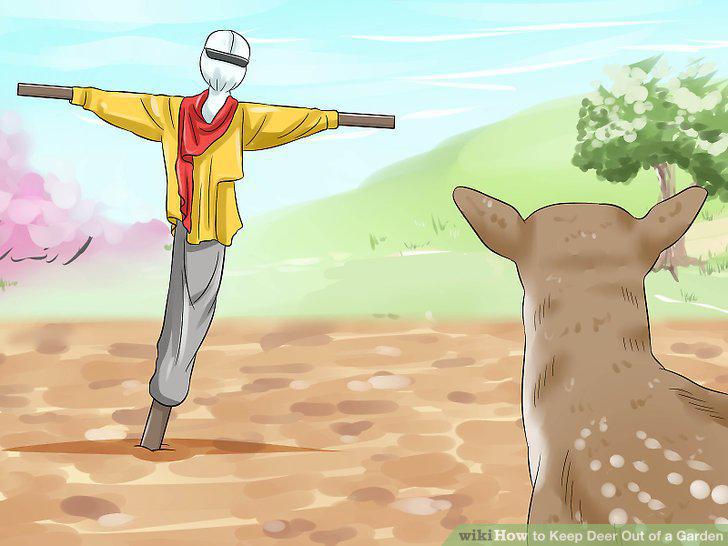 Step 12