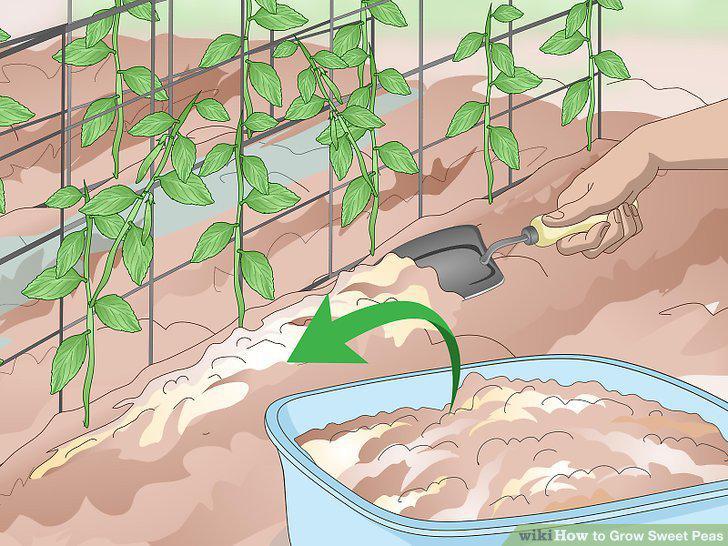 Step 11