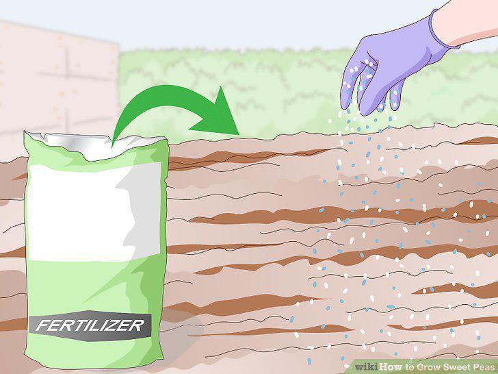 Step 12