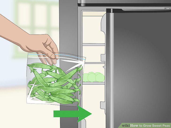 Step 14
