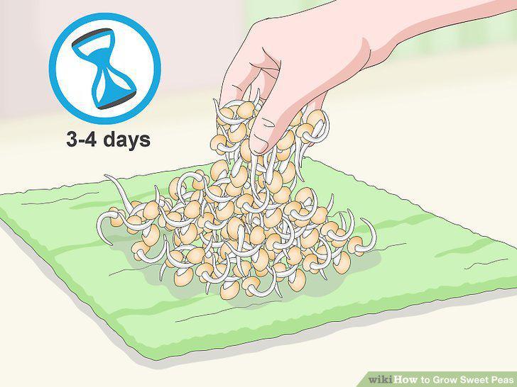 Step 3