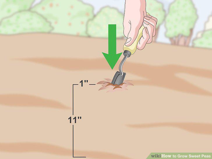 Step 9