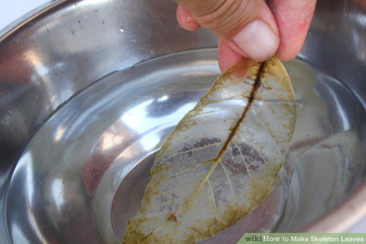 Step 12