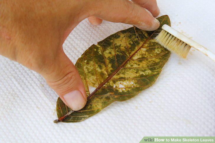 Step 5