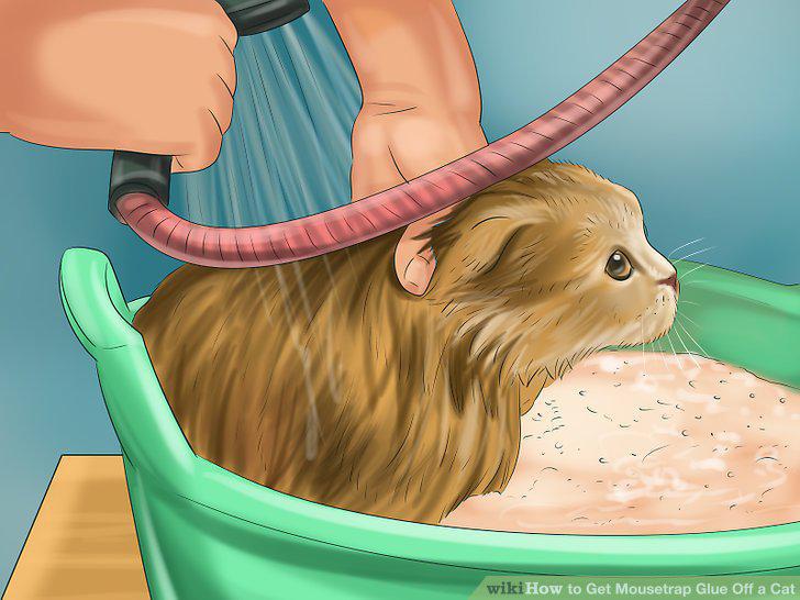 Step 11