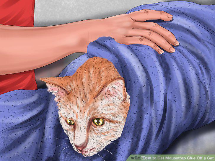 Step 12