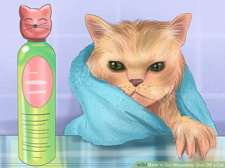 Step 10