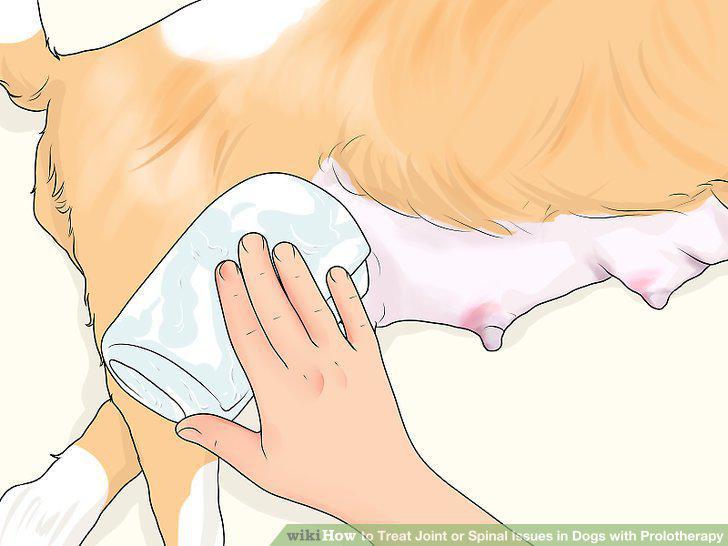 Step 7