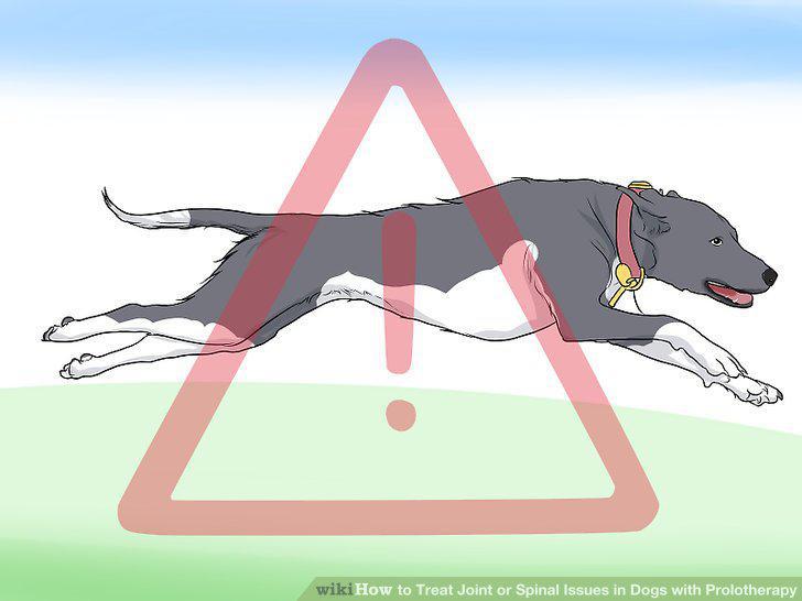 Step 8