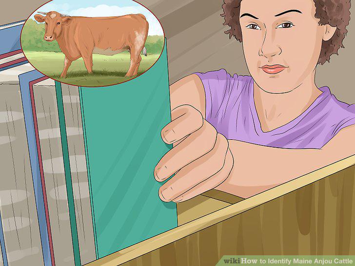 Step 11