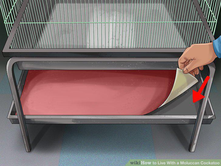 Step 14
