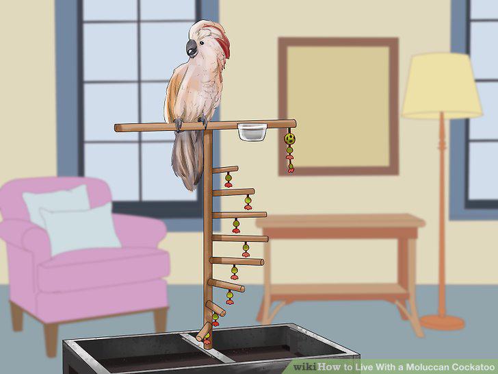 Step 18