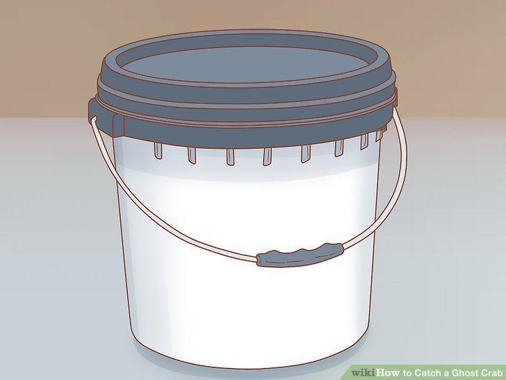 Step 11