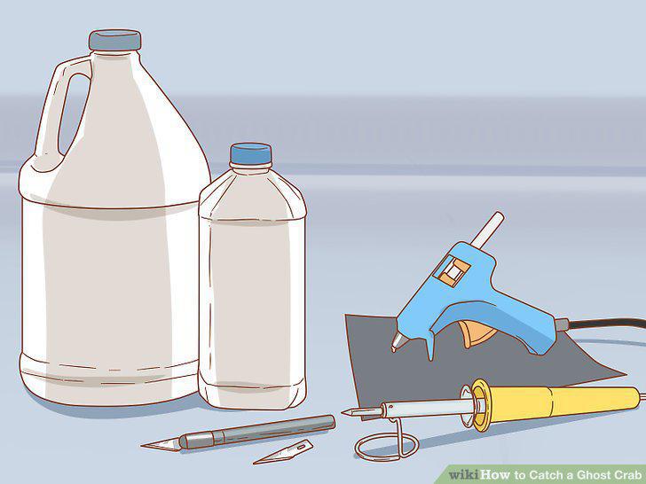 Step 12