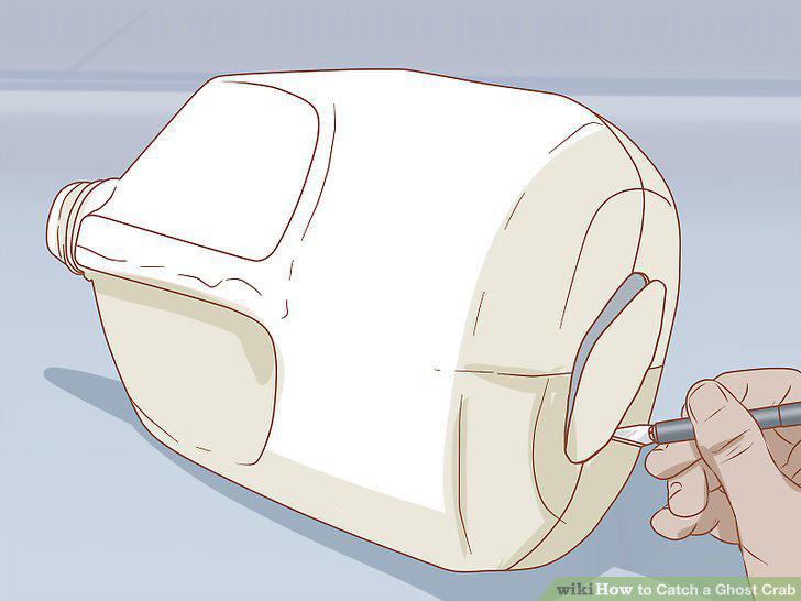 Step 13