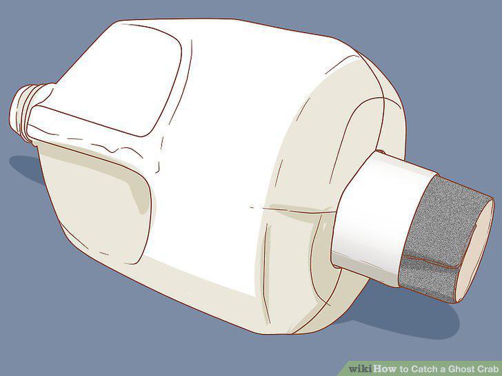 Step 16