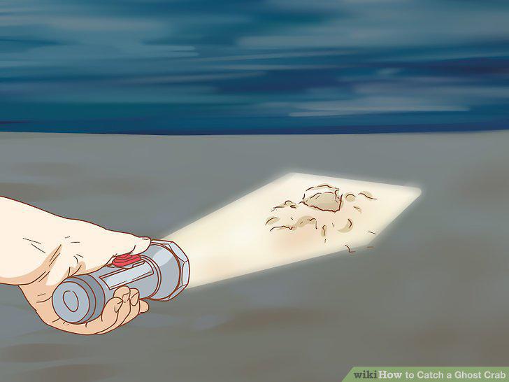 Step 17
