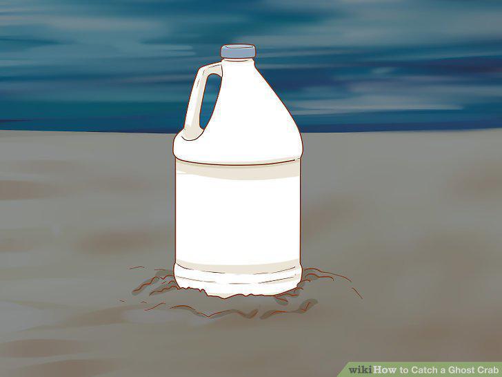 Step 18