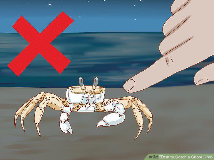 Step 10