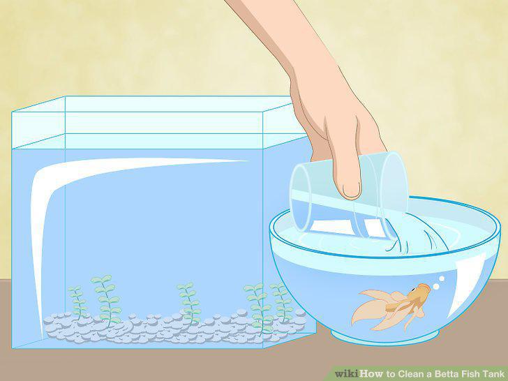 Step 5
