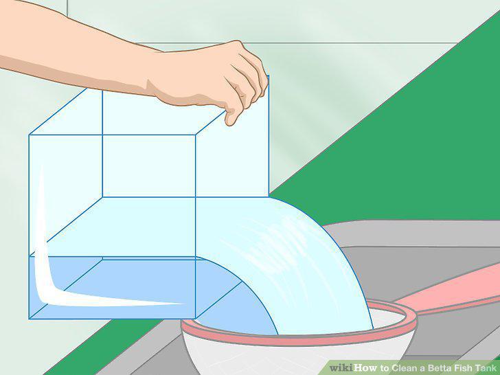 Step 6