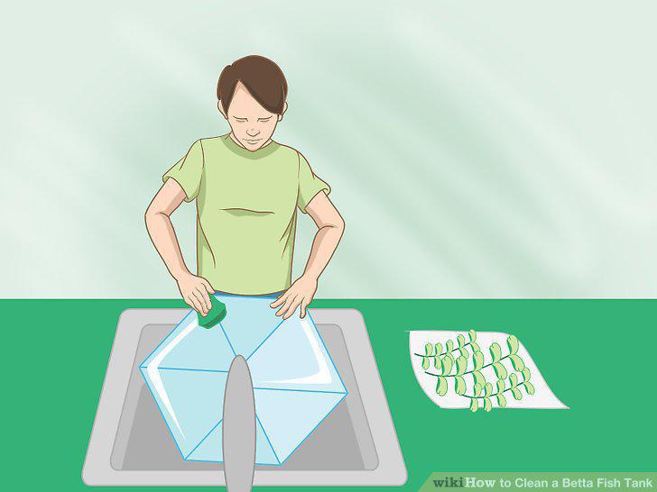 Step 8