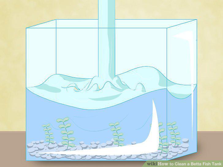 Step 9