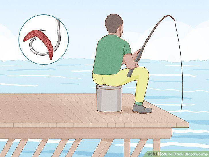 Step 12
