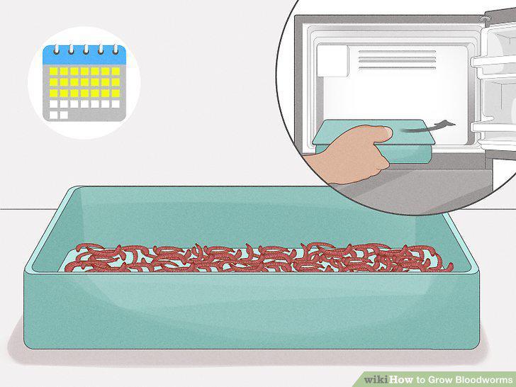 Step 13