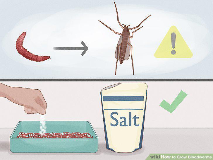 Step 14