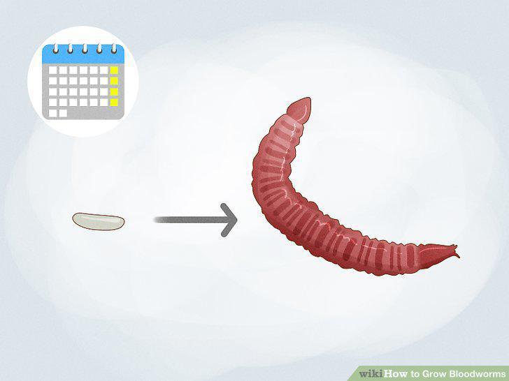 Step 9