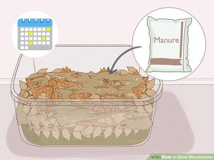 Step 10