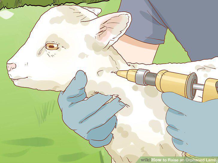 Step 10