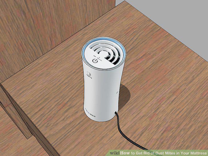 Step 12