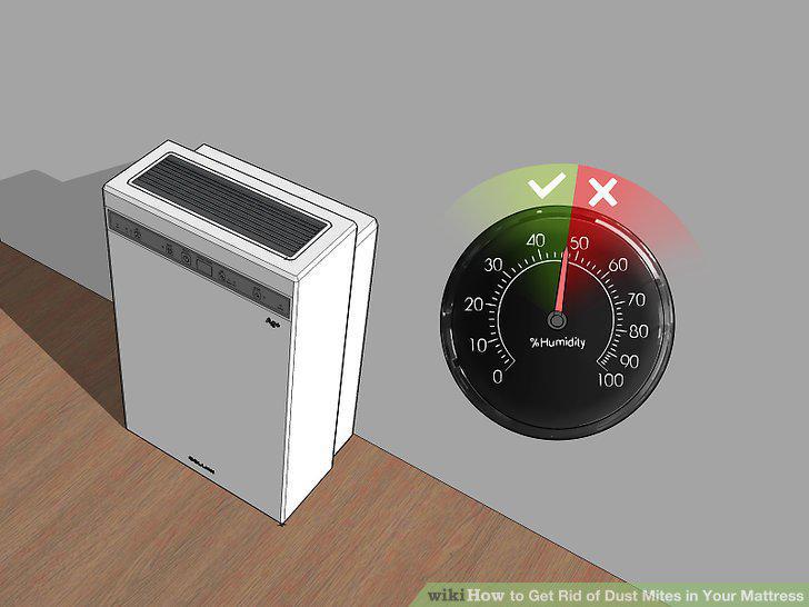 Step 10