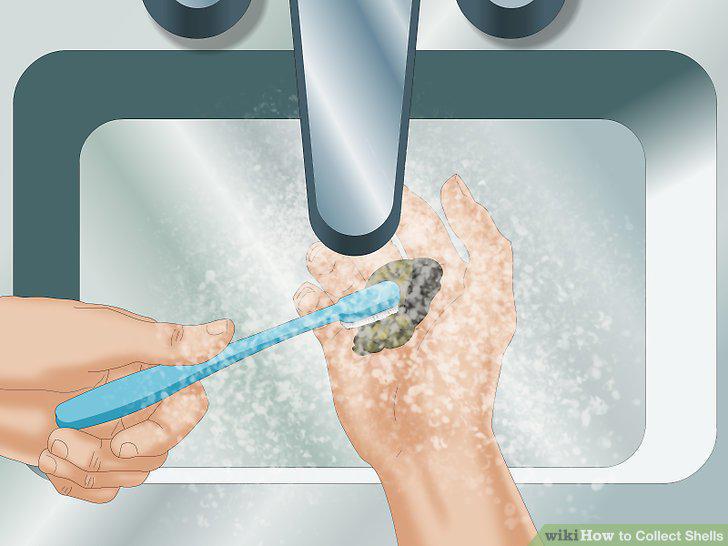Step 9